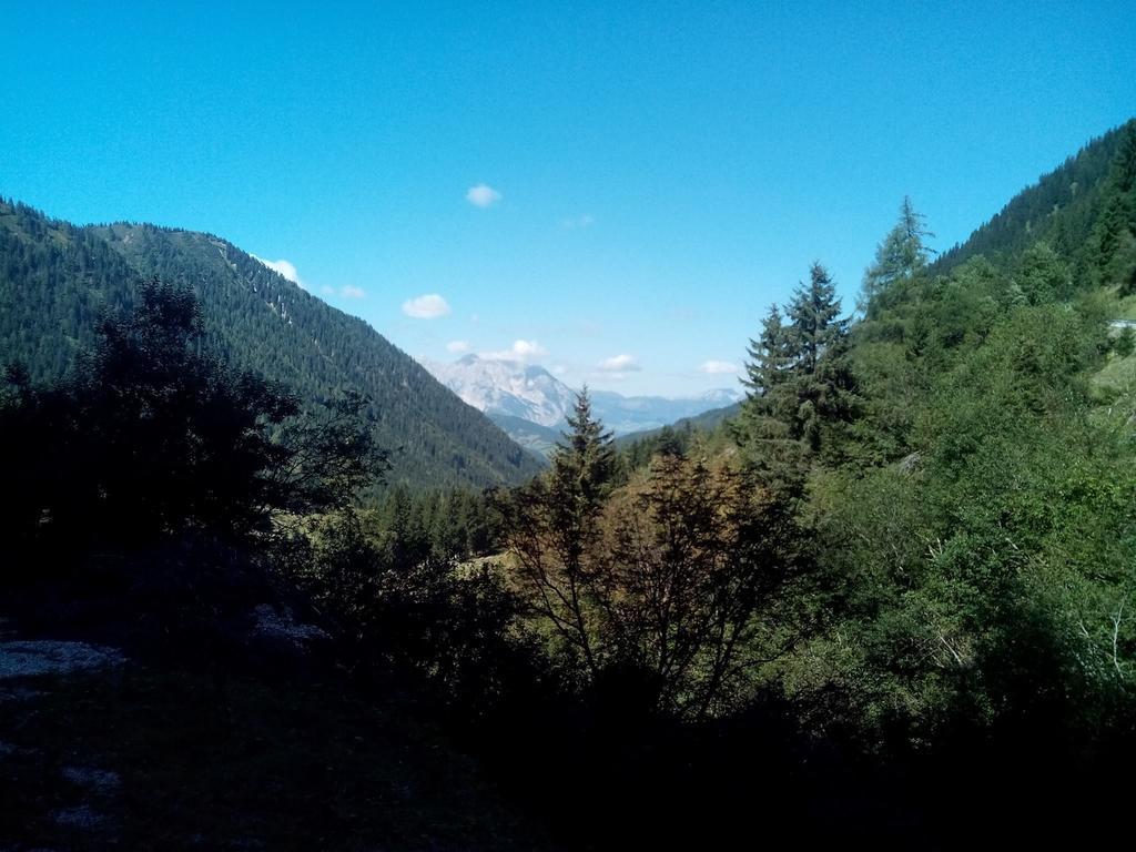 Gasthof Murauerhof Hotel Sankt Peter am Kammersberg Luaran gambar
